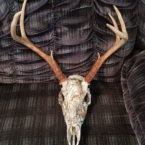 Meet your Posher, Todd